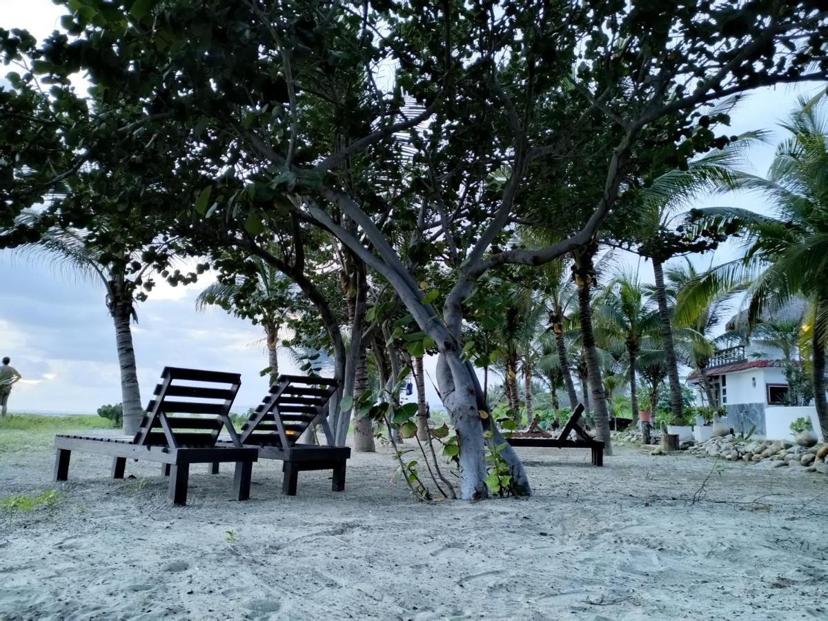 Casa Palma Beach House Brisas de Zicatela ภายนอก รูปภาพ
