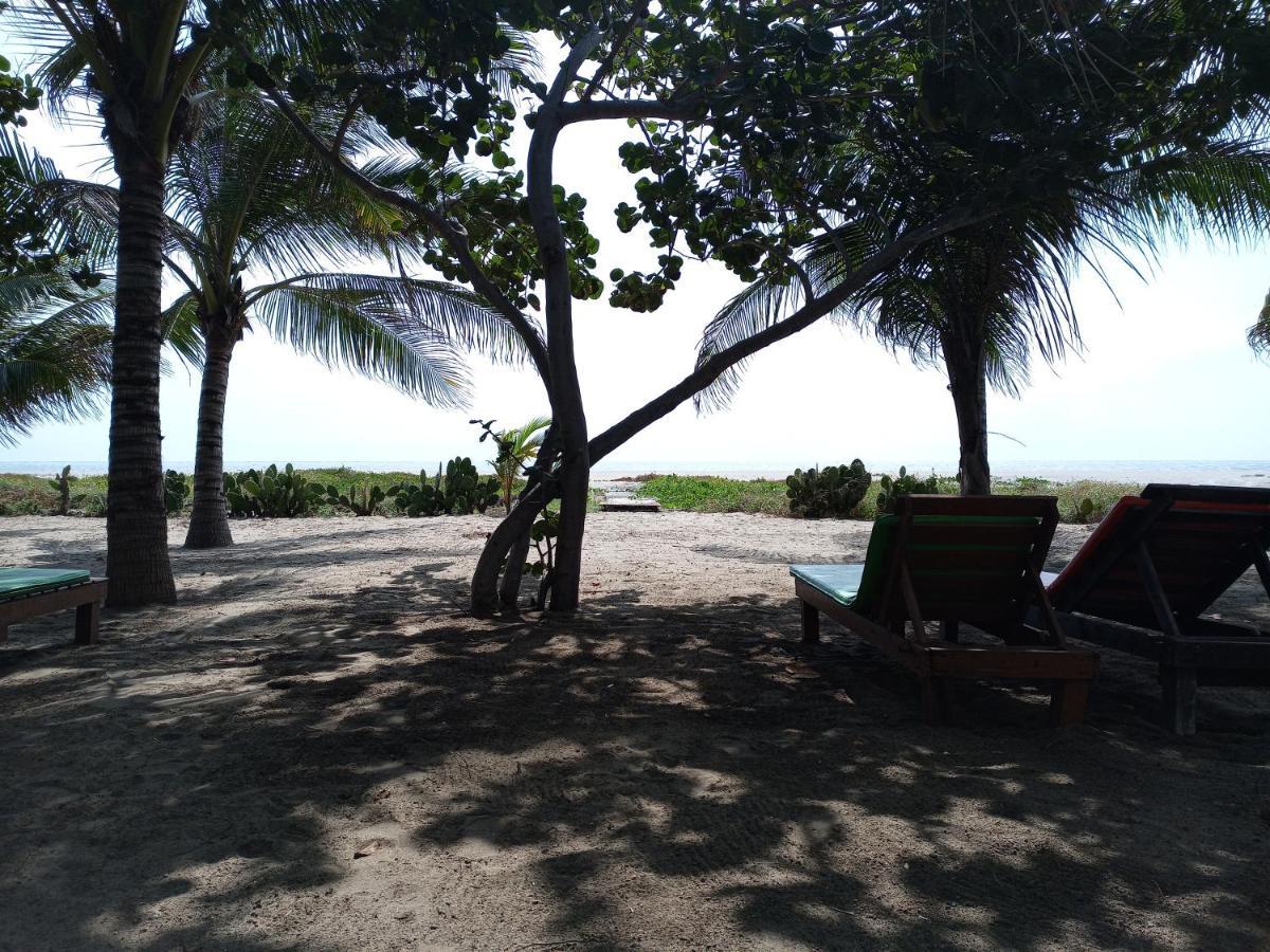 Casa Palma Beach House Brisas de Zicatela ภายนอก รูปภาพ